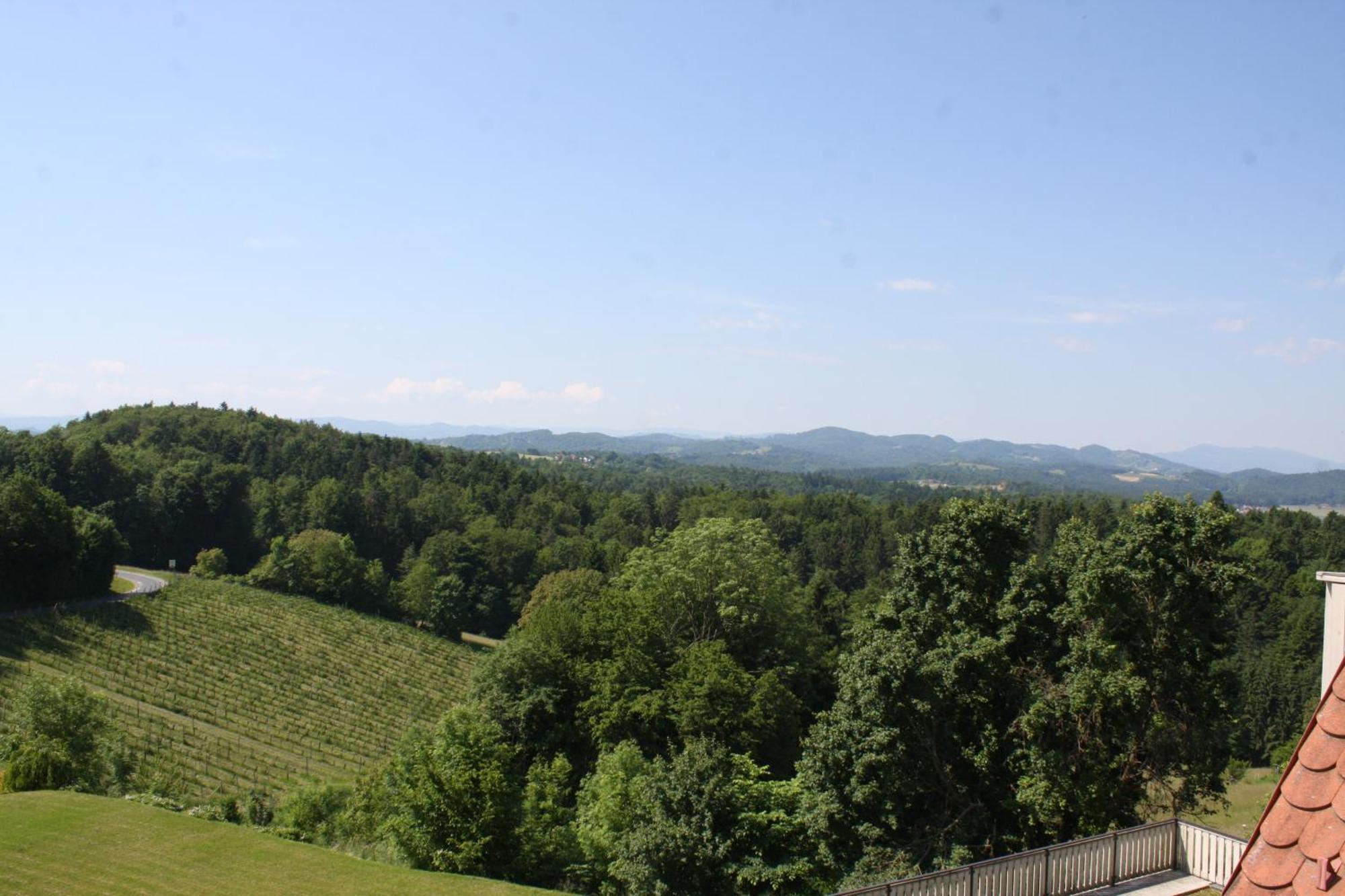 Hotel Garni Am Seggauberg 레이브니츠 외부 사진